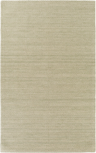 Surya Drift Wood DRF-3004 Area Rug