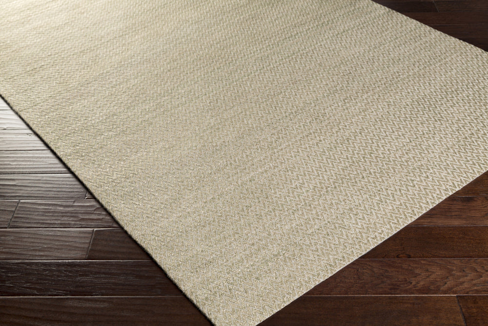 Surya Drift Wood DRF-3004 Area Rug 5x8 Corner Feature