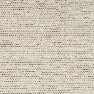 Surya Desoto DSO-202 Ivory Hand Woven Area Rug Sample Swatch