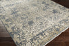 Surya Desiree DSR-1001 Grey/Neutral Area Rug Closeup