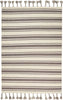 Nourison Rio Vista DST01 Ivory/Grey Area Rug