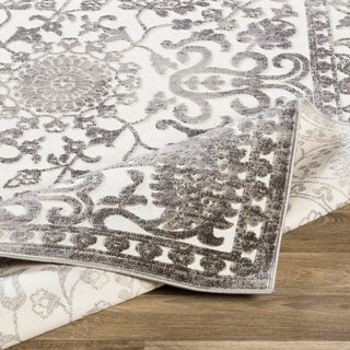 Surya Dantel DTL-2301 Area Rug