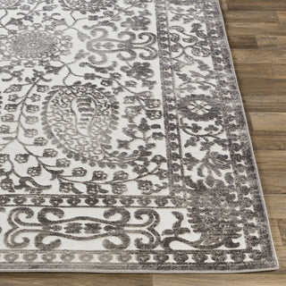 Surya Dantel DTL-2301 Area Rug