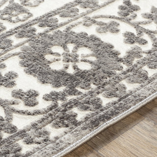 Surya Dantel DTL-2301 Area Rug