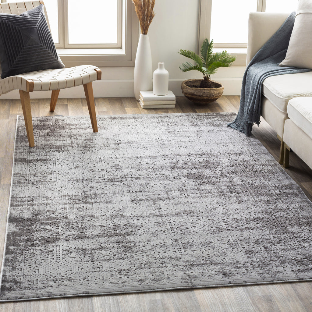 Surya Dantel DTL-2303 Area Rug Room Scene Feature