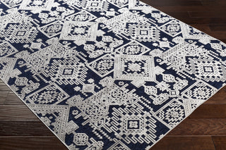 Surya Dantel DTL-2307 Area Rug  Feature