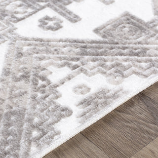 Surya Dantel DTL-2308 Area Rug