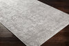 Surya Dantel DTL-2309 Area Rug