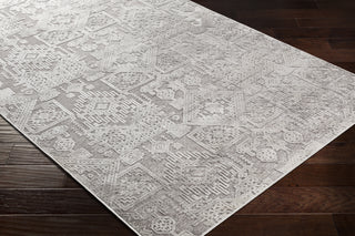 Surya Dantel DTL-2309 Area Rug
