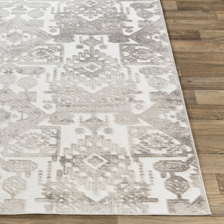 Surya Dantel DTL-2309 Area Rug