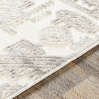 Surya Dantel DTL-2309 Area Rug