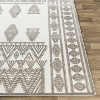 Surya Dantel DTL-2312 Area Rug