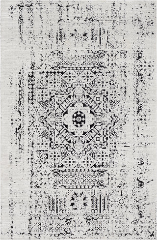 Surya Dantel DTL-2318 Area Rug main image