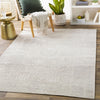 Surya Dantel DTL-2319 Area Rug Room Scene Feature