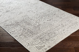 Surya Dantel DTL-2321 Area Rug  Feature