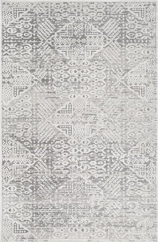 Surya Dantel DTL-2321 Area Rug main image