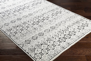Surya Dantel DTL-2325 Area Rug  Feature