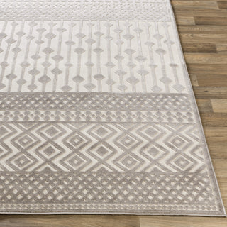 Surya Dantel DTL-2329 Area Rug