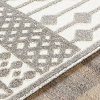 Surya Dantel DTL-2329 Area Rug