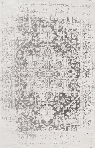 Surya Dantel DTL-2331 Area Rug main image