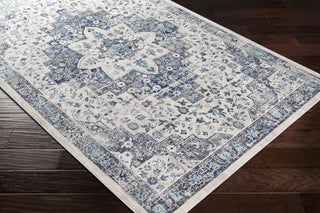 Livabliss Dublin DUB-2302 Area Rug