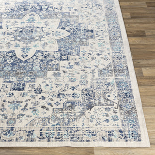 Livabliss Dublin DUB-2302 Area Rug