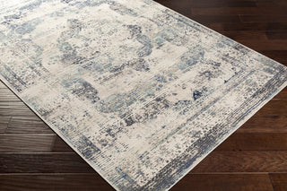 Livabliss Dublin DUB-2304 Area Rug