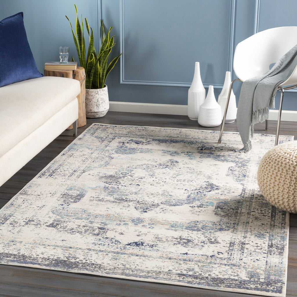 Surya Dublin DUB-2304 Area Rug Room Scene Feature