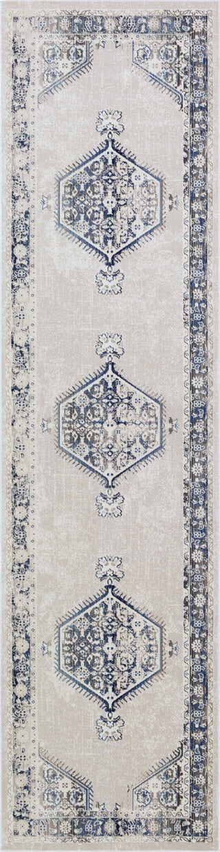 Livabliss Dublin DUB-2306 Area Rug