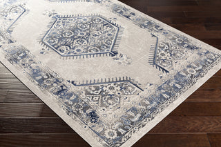 Livabliss Dublin DUB-2306 Area Rug