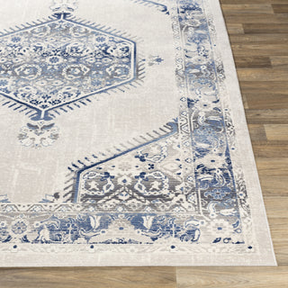 Livabliss Dublin DUB-2306 Area Rug