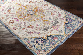 Livabliss Dublin DUB-2309 Area Rug