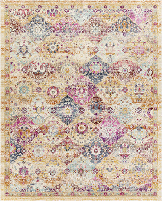 Surya Dublin DUB-2312 Area Rug