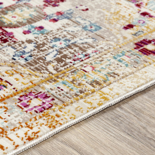 Surya Dublin DUB-2312 Area Rug