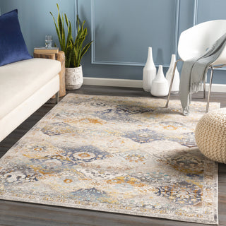 Surya Dublin DUB-2313 Area Rug Room Scene Feature