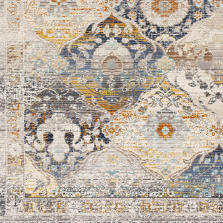 Surya Dublin DUB-2313 Area Rug