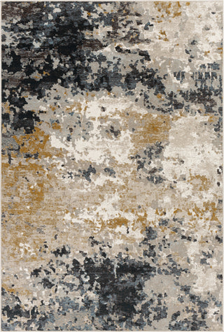 Surya Dublin DUB-2314 Area Rug main image