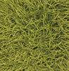 Chandra Duke DUK-20900 Green Area Rug Close Up