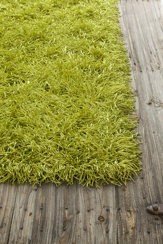 Chandra Duke DUK-20900 Green Area Rug Corner Shot