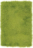 Chandra Duke DUK-20900 Green Area Rug main image