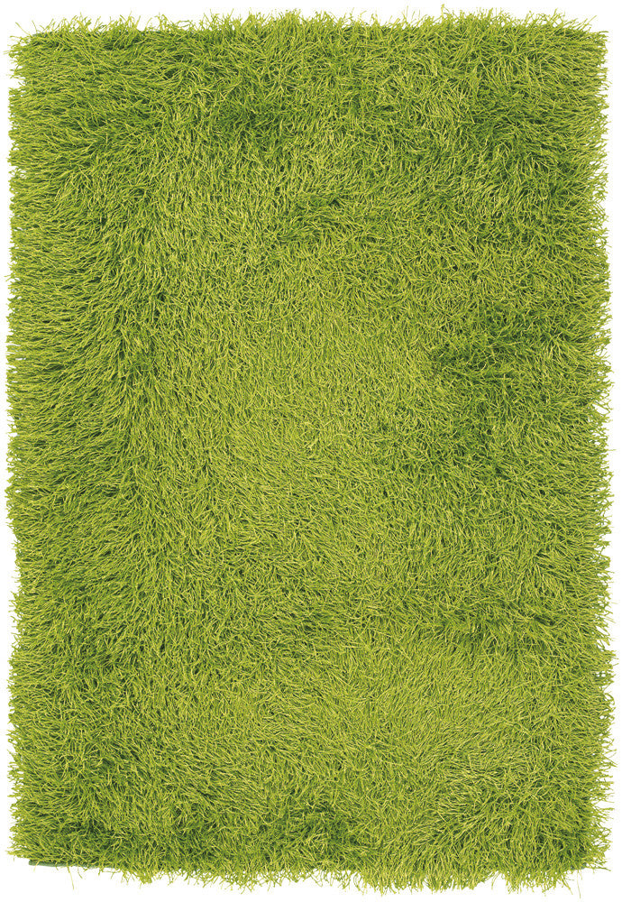 Chandra Duke DUK-20900 Green Area Rug main image