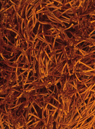 Chandra Duke DUK-20903 Orange/Rust Area Rug Close Up