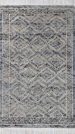 Momeni Dukkala DUK-3 Blue Area Rug by Lemieux Et Cie