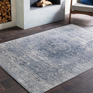 Surya Durham DUR-1002 Area Rug Room Image Feature