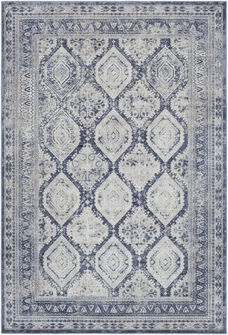 Surya Durham DUR-1005 Area Rug main image