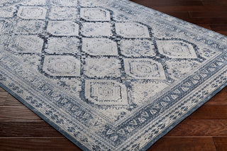 Surya Durham DUR-1005 Area Rug Corner Image