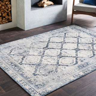 Surya Durham DUR-1005 Area Rug Room Image Feature