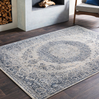 Surya Durham DUR-1008 Area Rug Room Image Feature