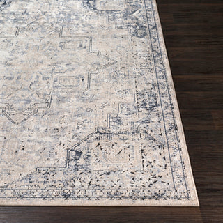 Surya Durham DUR-1014 Area Rug 