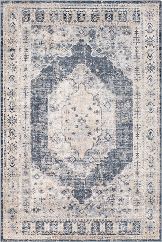 Surya Durham DUR-1015 Taupe Medium Gray Charcoal Black White Area Rug main image